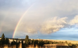 Rainbow over the Palouse